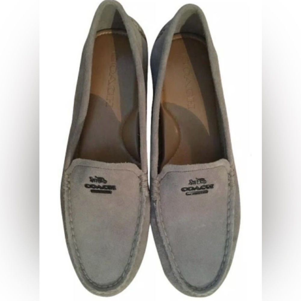 Coach Mary Lock Up Suede Gray Loafer